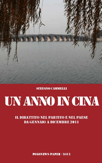 Stefano Cammelli - Un anno in Cina